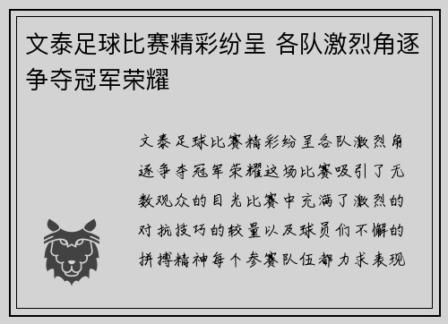 文泰足球比赛精彩纷呈 各队激烈角逐争夺冠军荣耀