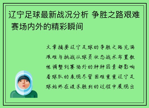 辽宁足球最新战况分析 争胜之路艰难 赛场内外的精彩瞬间
