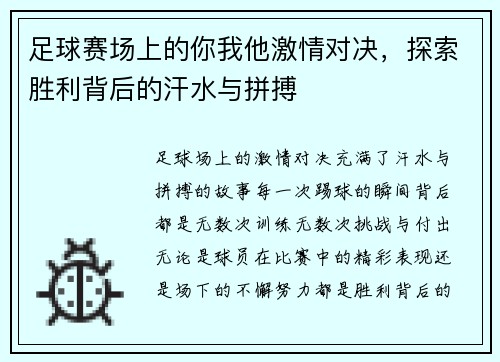 足球赛场上的你我他激情对决，探索胜利背后的汗水与拼搏