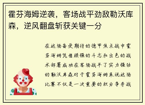 霍芬海姆逆袭，客场战平劲敌勒沃库森，逆风翻盘斩获关键一分