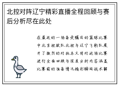 北控对阵辽宁精彩直播全程回顾与赛后分析尽在此处