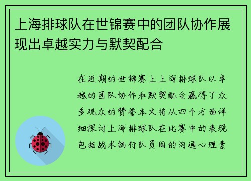上海排球队在世锦赛中的团队协作展现出卓越实力与默契配合