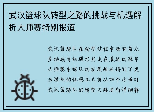 武汉篮球队转型之路的挑战与机遇解析大师赛特别报道